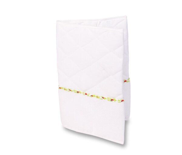 CARNET DE SANTE FILLE