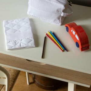 CARNET DE SANTE MIXTE