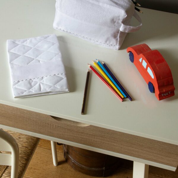 CARNET DE SANTE MIXTE