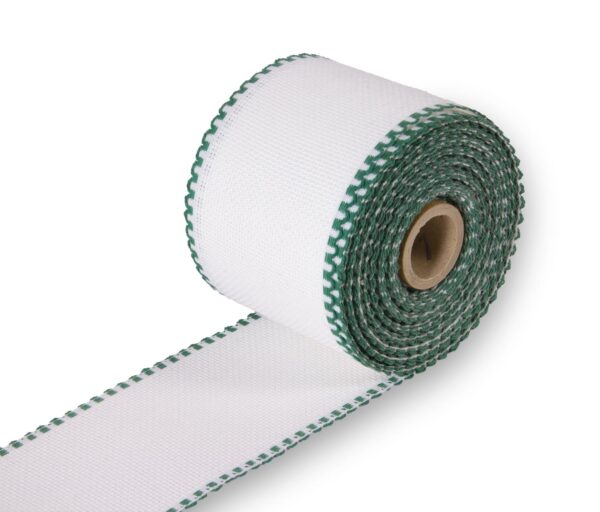 GALON COTON AIDA 75MM Fond blanc / Feston vert foret